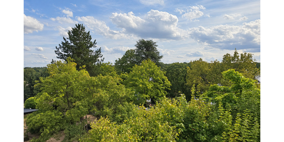 Blick von der Terrasse